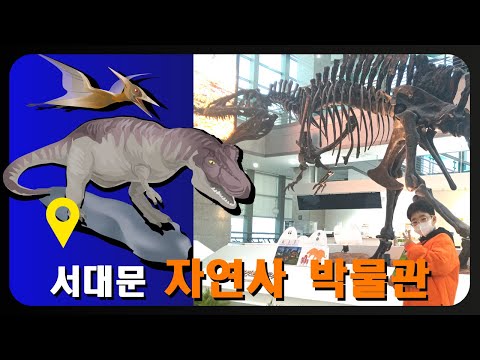 (V-logue) 공룡보러 '서대문 자연사 박물관'   방문하기 / Museum / 공룡 / 박물관 / 랜선 박물관
