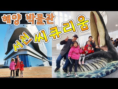 서천 씨큐리움 l 서천 해양박물관 l 국립해양생물자원관 l 국립해양박물관 l서천여행