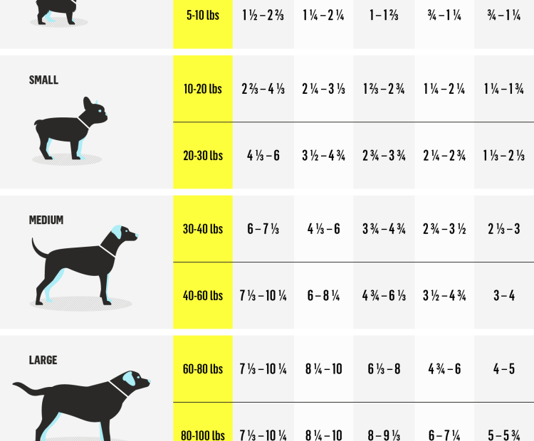 how-much-food-should-you-feed-a-40-lb-dog-feeding-tips-and-guidelines