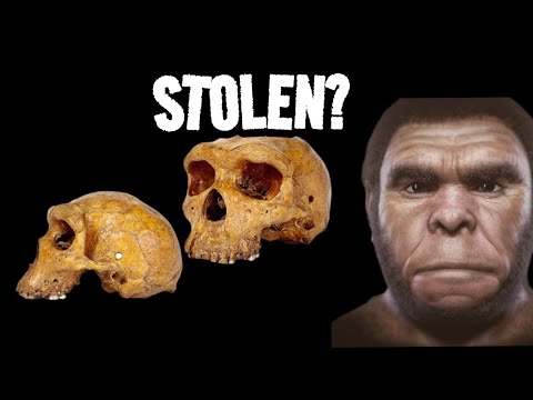 The Broken Hill Man Artifact: British Claim Vs. Cultural Restitution -  Youtube