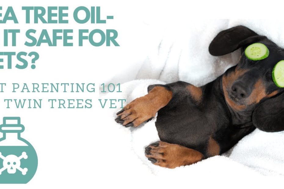 Is Tea Tree Oil Harmful For Dogs To Inhale?