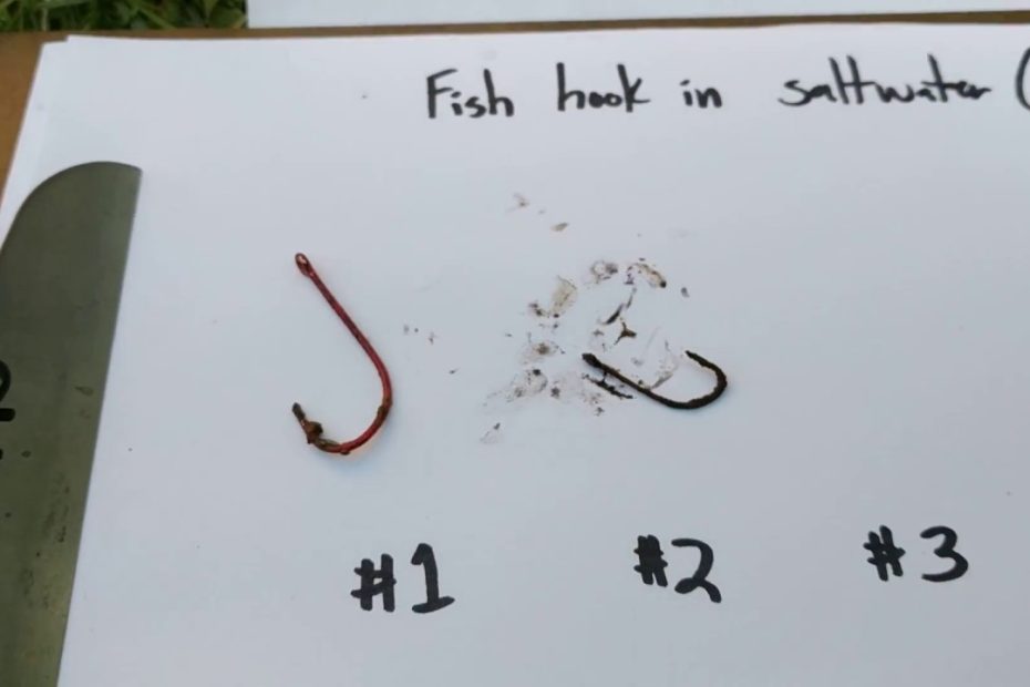 How Long Does It Take A Fish Hook To Rust In Saltwater? - Youtube
